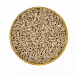 AYÇEKİRDEK İÇİ TOMBUL 1CVL-25KG