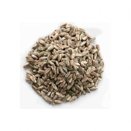 ANTEP FISTIK BOZİÇTANE 2 KG