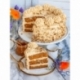 İREKS MELLA BRONZ SPECULOOS LOTUS KARAMELLİ KEK MİKSİ